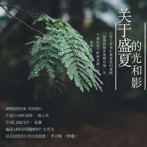 关于盛夏的光和影