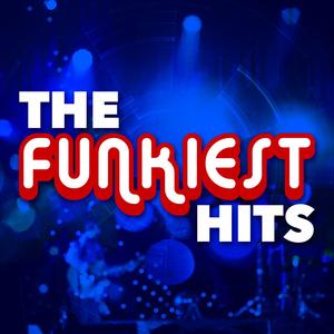 Do You Wanna Get Funky with Me?