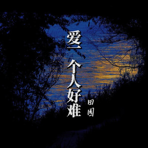 爱一个人好难
