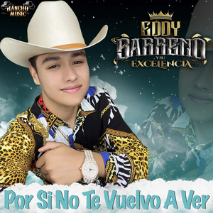 Por Si No Te Vuelvo a Ver
