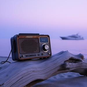 Salty Tears & Sandy Feet