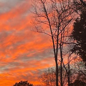 R!CEBALLS (feat. 92!kris)