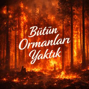 bütün ormanları yaktık!