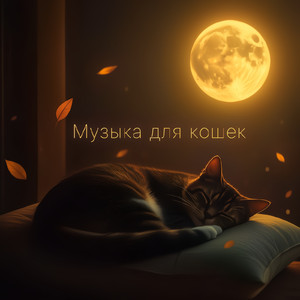 Музыка для кошек
