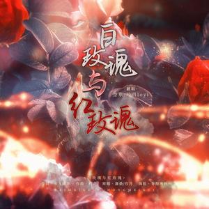 白玫瑰与红玫瑰