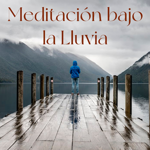 Meditación Bajo La Lluvia