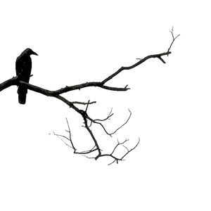 记得你的好，是最好道别