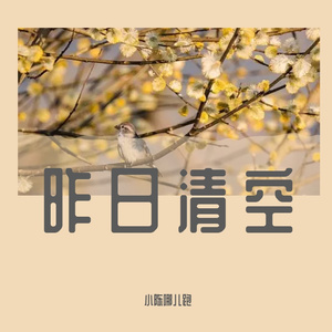 沐浴森林
