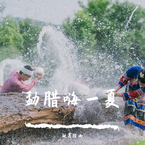 泼水节歌