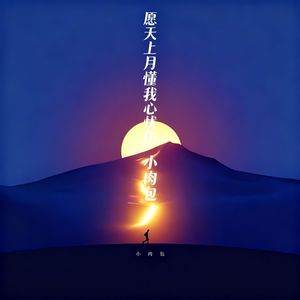 愿天上月懂我心忧伤