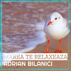Marea Te Relaxeaza