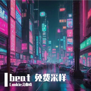 disco funk （大概这种风格吧）