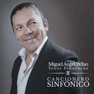 Canción del sur