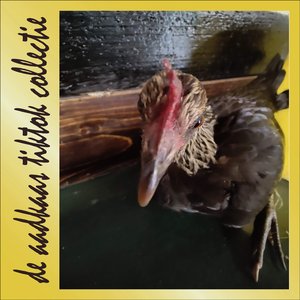 Klassieke, Hoopvolle, Onvermijdelijke Beat