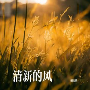 清新的风