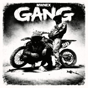 Gang
