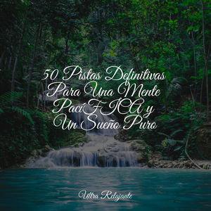 Mirar Fijamente A La Niebla