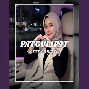 Patgulipat
