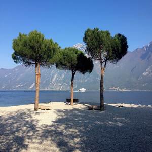 LofiSuong Tren Mi Mat