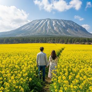 낭만의 제주로 여행을 떠나자