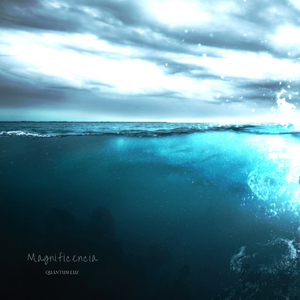 Magnificencia