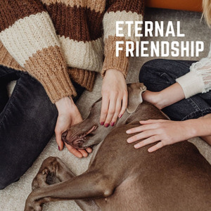 Raccoon Dog Longhaired