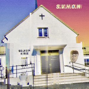 Svineøre