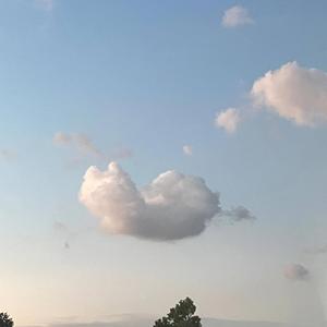 Sceret Pocket (SUNO Remix)