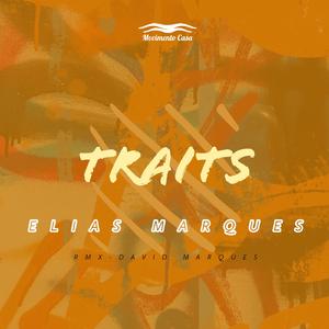 Traits (Remix)