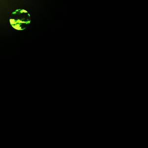 NAMARDI