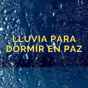 Амар амгалан унтахын тулд бороо