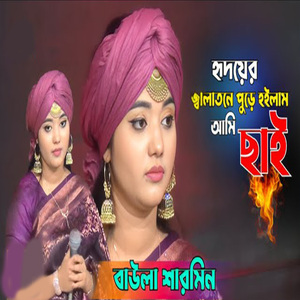 হৃদয়ের জ্বালাতনে পুড়ে হইলাম আমি ছাই