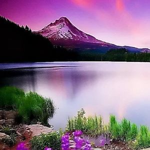 完美世界治愈版 (SDJ Remix)