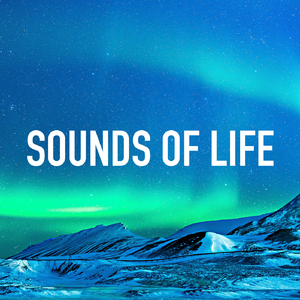 Sounds of Life