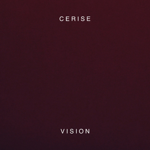 Vision