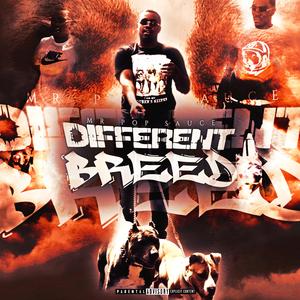 Frontline (feat. TragicRNA Jay Money)