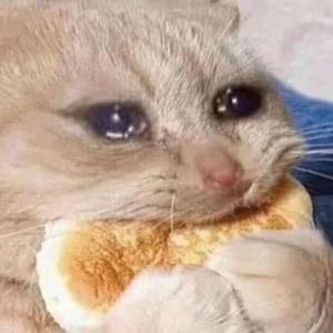 【Free】爷的脆弱仅自己可见