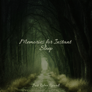 Joyful Blooms Abound