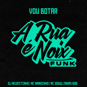 Vou Botar (feat. DJ Negritinho, MC Nandinho & Mc Douglinhas BDB)