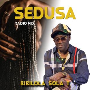 Sedusa (Radio Mix)