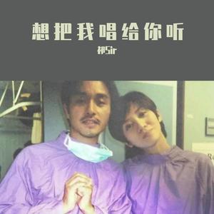 尚士达-迷人的危险（丶花花丶 remix）