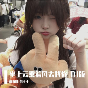 坐上云乘着风去找你 DJ版