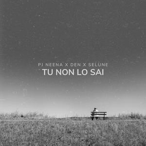 Tu Non Lo Sai (feat. DEN & Selune)