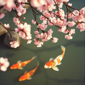 生きる喜び (Joy of Living) by @rusttruck