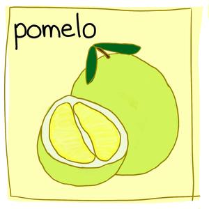 Pomelo