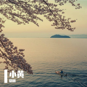 花开世界逐光前行