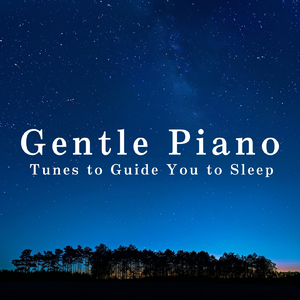 Wandering Through a Silent Path