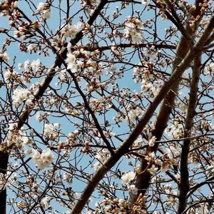 好好做人天天向上