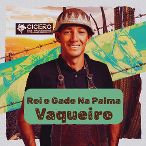 Viciado Sim