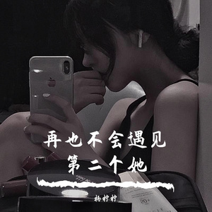 再也不会遇见第二个她